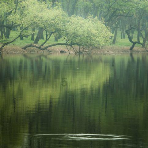 风语世界2：沉寂